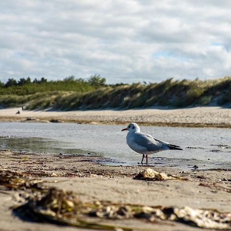 Strandhaus 43 Dierhagen Exteriör bild